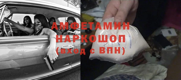 ешки Алексин