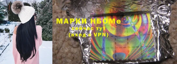 ешки Алексин