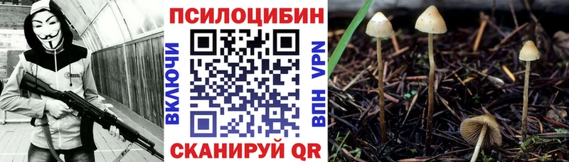 blacksprut маркетплейс  даркнет сайт  Ардатов  Псилоцибиновые грибы GOLDEN TEACHER 