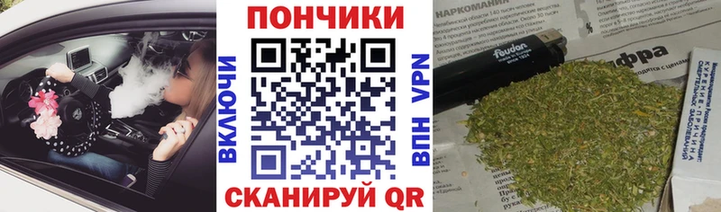 Марихуана сатива  Ардатов 